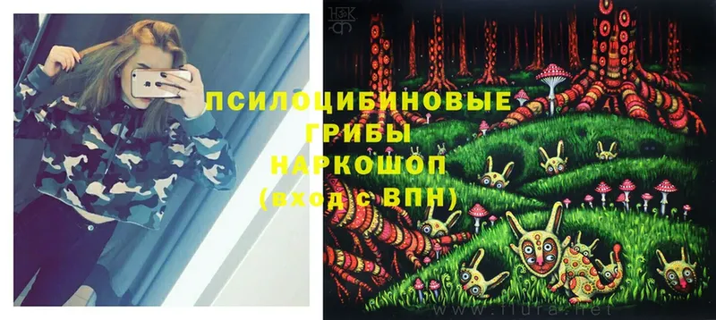 Псилоцибиновые грибы MAGIC MUSHROOMS  купить наркотики цена  гидра как зайти  Серпухов 